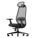 ProtoArc Ergonomic Office Chair – EC200 High-Back Mesh Computer Chair with Lumbar Support, 3D Adjustable Headrest & Sliding Seat for 8+ Hour Comfort, Big & Tall Home Office Desk Chairs - Black - Ergonomics