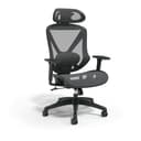 STAPLES Dexley Ergonomic Mesh Office Chair - Adjustable Height, Swivel Tilt, Lumbar Support, Black - Ergonomics