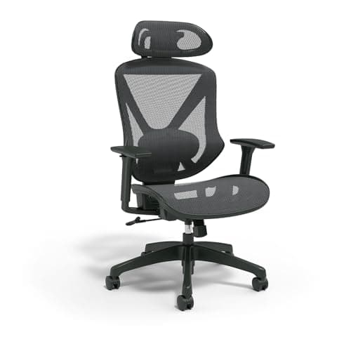STAPLES Dexley Ergonomic Mesh Office Chair - Adjustable Height, Swivel Tilt, Lumbar Support, Black