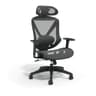 STAPLES Dexley Ergonomic Mesh Office Chair - Adjustable Height, Swivel Tilt, Lumbar Support, Black - Ergonomics