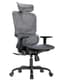 HUANUO Ergonomic Mesh Office Chair with 5-Level Lumbar Support, Computer Gaming Chair with Adjustable Headrest & Armrests, Rocking Tilt, Comfortable High Back Desk Chair for Home Office - Ergonomics