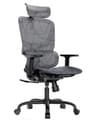 HUANUO Ergonomic Mesh Office Chair with 5-Level Lumbar Support, Computer Gaming Chair with Adjustable Headrest & Armrests, Rocking Tilt, Comfortable High Back Desk Chair for Home Office - Ergonomics