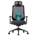 COLAMY Ergonomic Mesh Office Chair,High Back Computer Executive Desk Chair,Lumbar Support with Adjustable Headrest and 4D Arms, Slide Seat, Tilt Lock-Black - Ergonomics