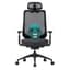 COLAMY Ergonomic Mesh Office Chair,High Back Computer Executive Desk Chair,Lumbar Support with Adjustable Headrest and 4D Arms, Slide Seat, Tilt Lock-Black - Ergonomics