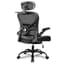 Freepub Ergonomic Office Chair with Headrest 3D, Mesh Office Desk Chair with Adjustable Lumbar Support, Computer Chair with Flip up Armrests, 350LBS Capacity - Design for Home/Offices - Black - Ergonomics