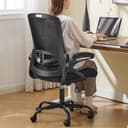 Nexthro Ergonomic Office Chair, Desk Chair with Adjustable Lumbar Support, Breathable Mesh Comfy Computer Chairs with Flip-up Armrests Executive Task Chair for Adults Home Office(Black) - Ergonomics