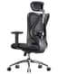 SIHOO M18 Ergonomic Office Chair, High Back Mesh Desk Chair with Adjustable Headrest & Lumbar Support, 330lbs Capacity Computer Chair with 2D Armrests & Wide Cushion, Tilt Lock, for Home Office-Black - Ergonomics