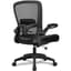 FelixKing Office Chair, Ergonomic Desk Chair Breathable Mesh Chairs Adjustable High Back Lumbar Support Flip-up Armrests, Executive Rolling Swivel Comfy Computer Chairs Home Office Black - Ergonomics