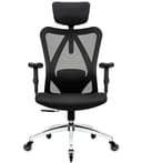 Duramont Ergonomic Office Chair - Adjustable Desk Chair with Lumbar Support and Rollerblade Wheels - High Back Chairs with Breathable Mesh - Thick Seat Cushion, Head, and Arm Rests - Reclines (Black) - Ergonomics