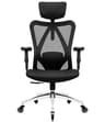 Duramont Ergonomic Office Chair - Adjustable Desk Chair with Lumbar Support and Rollerblade Wheels - High Back Chairs with Breathable Mesh - Thick Seat Cushion, Head, and Arm Rests - Reclines (Black) - Ergonomics
