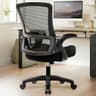NEO CHAIR Office Desk Gaming Chair Computer High Back Mesh Seat with Rolling Wheels Ergonomic Adjustable Comfy Flip-up Armrests Lumbar Support Height for Home (Black) - Ergonomics