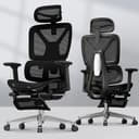 FLEXISPOT ErgoX Premium Ergonomic Office Chair with Footrest- Adjustable 3D Armrests, Dynamic Lumbar Support, Recline & Tilt Function, Mesh Seat, for Home & Office Use,Black - Ergonomics