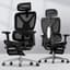 FLEXISPOT ErgoX Premium Ergonomic Office Chair with Footrest- Adjustable 3D Armrests, Dynamic Lumbar Support, Recline & Tilt Function, Mesh Seat, for Home & Office Use,Black - Ergonomics