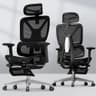 FLEXISPOT ErgoX Premium Ergonomic Office Chair with Footrest- Adjustable 3D Armrests, Dynamic Lumbar Support, Recline & Tilt Function, Mesh Seat, for Home & Office Use,Black - Ergonomics