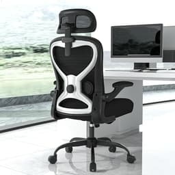 CASASIO Home Office Desk Chairs, Ergonomic Office Chair with Lumbar Support & 3D Headrest, Computer Desk Chair with Flip-up Armrests, Perfect for Office or Study, Black/Silver - Ergonomics