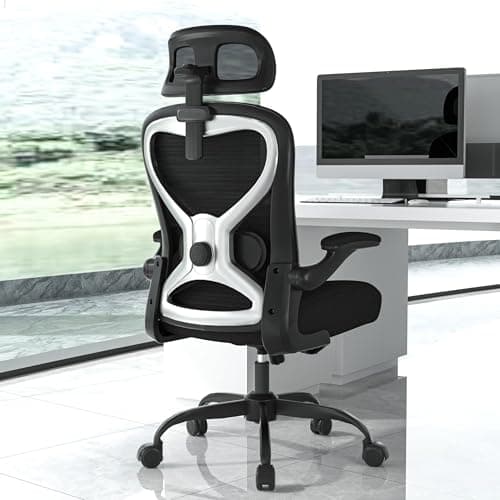 CASASIO Home Office Desk Chairs, Ergonomic Office Chair with Lumbar Support & 3D Headrest, Computer Desk Chair with Flip-up Armrests, Perfect for Office or Study, Black/Silver