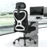 CASASIO Home Office Desk Chairs, Ergonomic Office Chair with Lumbar Support & 3D Headrest, Computer Desk Chair with Flip-up Armrests, Perfect for Office or Study, Black/Silver - Ergonomics