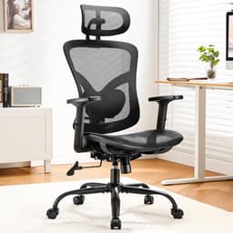 Marsail Ergonomic Mesh Office Chair,Ergonomic Desk Chair with 2D Headrest,Adjustable Lumbar Support & Up and Down Armrest - Ergonomics