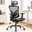 Marsail Ergonomic Mesh Office Chair,Ergonomic Desk Chair with 2D Headrest,Adjustable Lumbar Support & Up and Down Armrest - Ergonomics
