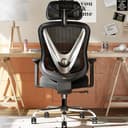 HOLLUDLE Ergonomic Mesh Office Chair - 3D Adjustable Lumbar Support & 3D Armrests, V-Shaped Back, Adjustable Desk Chair for Office & Home, Black - Ergonomics