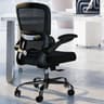 TRALT Office Chair - Ergonomic Desk Chair with Adjustable Lumbar Support, Mesh Computer Chair, Executive Chairs for Home Office Comfortable Lumbar Support (Black) - Ergonomics