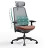COLAMY Ergonomic Mesh Office Chair with Lumbar Support, High Back Office Chair for Home and Office (Coral) - Ergonomics