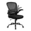 Youhauchair Mesh Office Chair, Ergonomic Home Office Desk Chairs with Flip-up Arms and Lumbar Support, Height Adjustable, Black Black Without Headrest - Ergonomics
