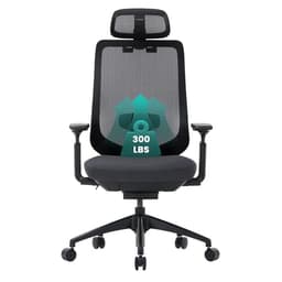 COLAMY Ergonomic Mesh Office Chair,High Back Computer Executive Desk Chair,Lumbar Support with Adjustable Headrest and 4D Arms, Slide Seat, Tilt Lock-Black - Ergonomics