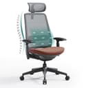 COLAMY Ergonomic Mesh Office Chair with Lumbar Support, High Back Office Chair for Home and Office (Coral)