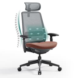 COLAMY Ergonomic Mesh Office Chair with Lumbar Support, High Back Office Chair for Home and Office (Coral)